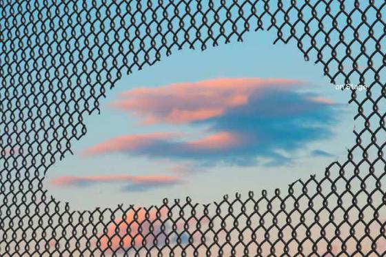 Brut Update Global Brut Wien