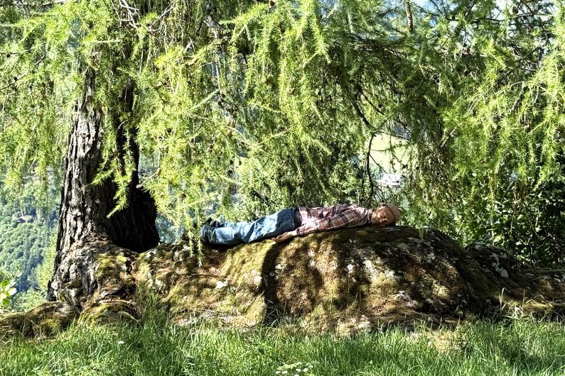 Eine Person liegt ruhig auf einem mit Moos bedeckten Felsen unter einem großen Nadelbaum. Sonnenlicht fällt durch die Zweige und beleuchtet die Szene inmitten einer grünen Landschaft.