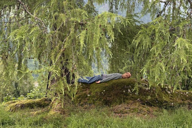 Eine Person liegt auf einem moosbewachsenen Felsen unter tief hängenden Ästen eines Baumes, umgeben von dichter Vegetation. Die Atmosphäre ist still und naturverbunden.