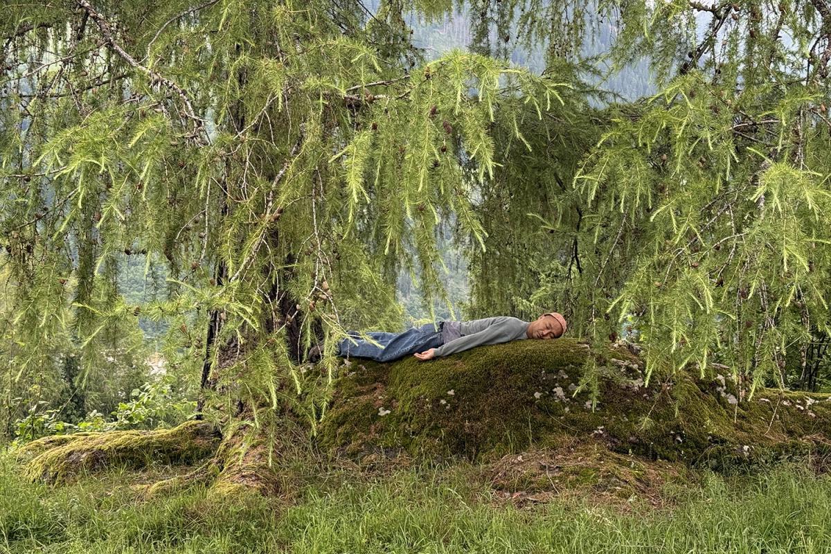 A person lies on a mossy rock beneath low-hanging branches of a tree, surrounded by dense greenery. The atmosphere feels still and connected to nature.