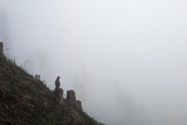 A person stands on a tree stump on a foggy slope, surrounded by other stumps and faint outlines of trees in the background.
