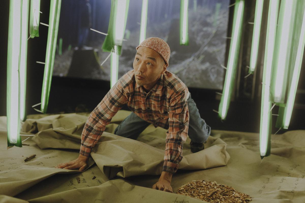 A person in a checked shirt crouches thoughtfully among hanging green light tubes above a paper-covered floor, with a blurred forest image in the background.