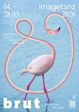 A poster for imagetanz 2026 features a surreal depiction of a flamingo against a calm, light-blue water background. The flamingo’s body stands on thin pink legs in the water, while its neck is dramatically elongated and loops through the image in smooth, ribbon-like curves. The flamingo’s head appears high on the right side of the poster, gently angled downward. The distorted anatomy creates a playful yet slightly unsettling effect. The poster includes the dates “04–28.03,” the title “imagetanz 2026,” and the text “Festival for new choreography and performance.” At the bottom, the brut Wien logo and ticket information are visible.