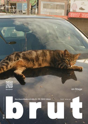 Eine braun-grau getigerte Katze liegt ausgestreckt auf der Motorhaube eines schwarzen Autos in der Sonne. Im Hintergrund sieht man eine Pizzeria und andere Geschäfte. Auf dem Bild steht in weißer Schrift: „New Art“, „on Stage“, sowie die Adresse von brut Wien.