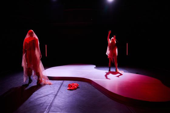 Two veiled figures in a dark room, both under transparent fabrics with red lighting accents. One person stands with raised arms on an elevated platform, while the other faces them. The scene feels ritualistic and mystical.